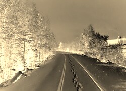 Sepia + Negatyw
