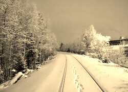 Szary + Sepia