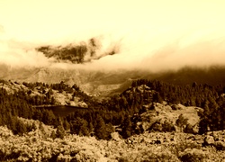 Sepia