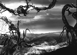 Szary + Sepia
