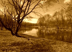 Sepia
