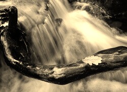 Szary + Sepia