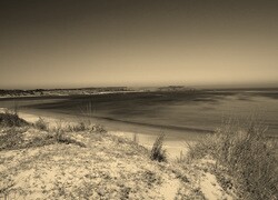 Szary + Sepia