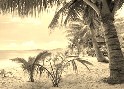 Szary + Sepia