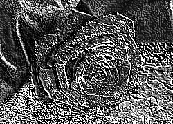 Skamielina