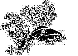Skamielina