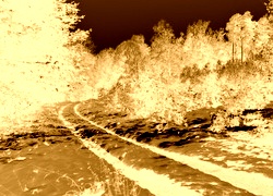 Sepia + Negatyw