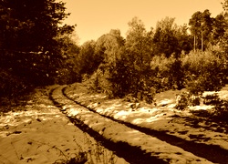Sepia