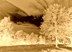 Sepia + Negatyw