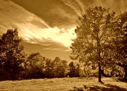 Sepia