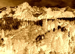 Sepia + Negatyw