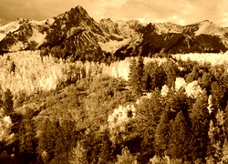 Sepia
