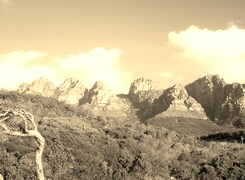 Sepia