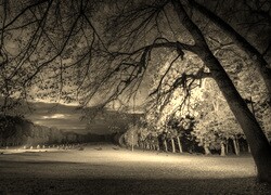 Szary + Sepia