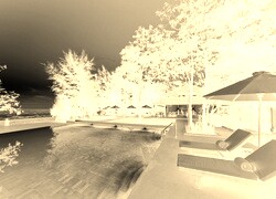 Sepia + Negatyw
