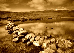 Sepia
