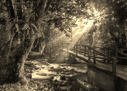 Sepia