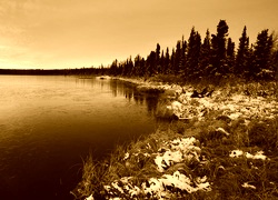 Sepia