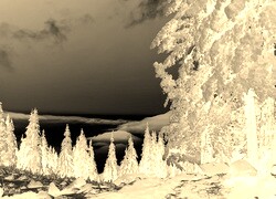Sepia + Negatyw