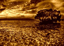 Sepia