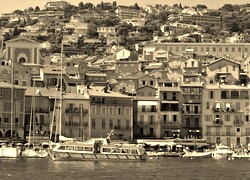 Szary + Sepia
