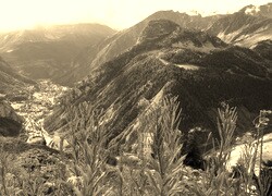 Szary + Sepia