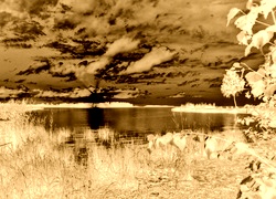 Sepia + Negatyw
