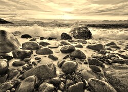 Sepia