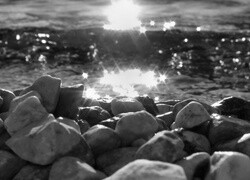 Szary