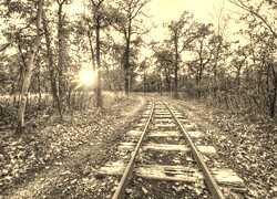 Szary + Sepia
