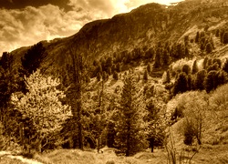 Sepia