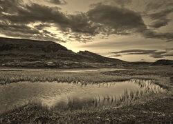 Szary + Sepia