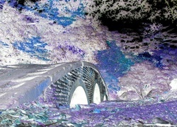 Negatyw