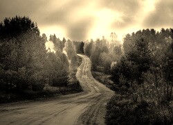 Sepia
