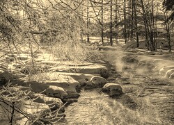 Sepia