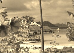 Sepia