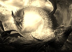 Szary + Sepia