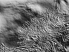 Skamielina