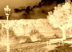 Sepia + Negatyw