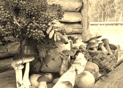 Szary + Sepia