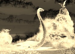 Sepia + Negatyw