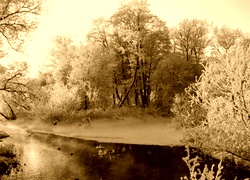 Sepia