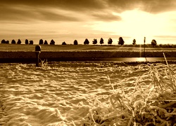 Sepia