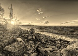 Szary + Sepia