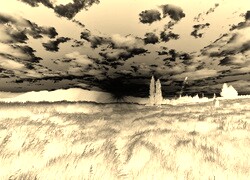Sepia + Negatyw