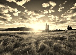 Szary + Sepia
