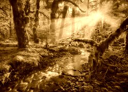 Sepia