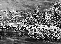Skamielina