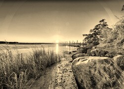 Szary + Sepia