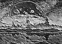 Skamielina